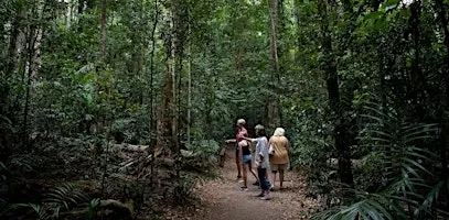 Meet the Rainforest Guided Walk