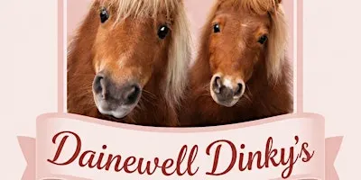 Pony fun Sundays  - A heart warming pony experience.