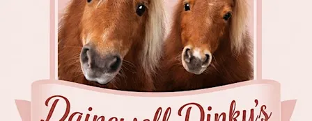 Pony fun Sundays - A heart warming pony experience.