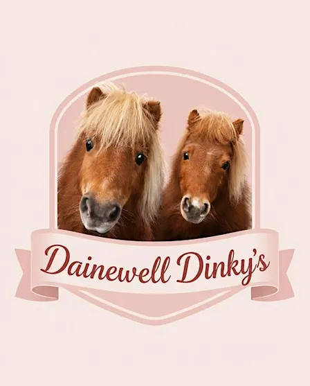 Pony fun Sundays  - A heart warming pony experience.