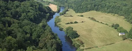 Conservation, culture and education in the Forest
