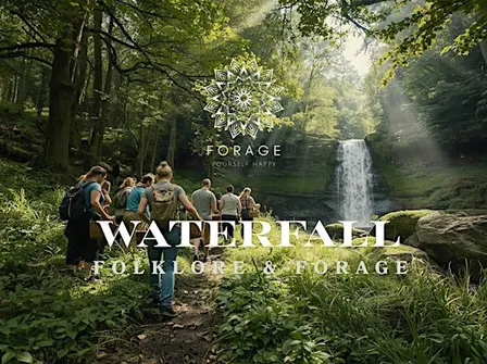 Hidden Waterfalls, Folklore & Forest Therapy | Goathland