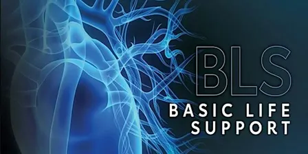 Basic Life Support (BLS) Renewal Course for HCP - OCT 29 AM