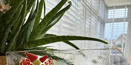Naze fused glass workshop with Greenacers Glass
