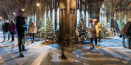 Worcester Cathedral Christmas Tree Festival 2026 General Admission
