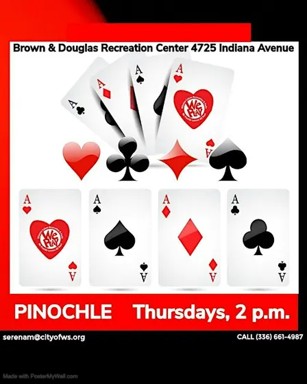 Pinochle Card Game