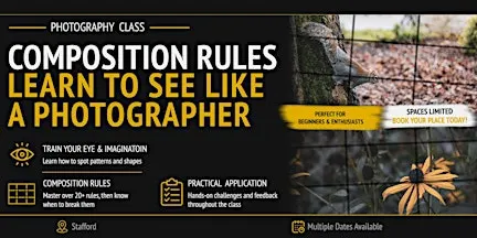 Compositions Rules: Learn to See Like a Photographer