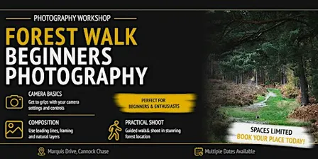 Forest Walk: Beginners Photography