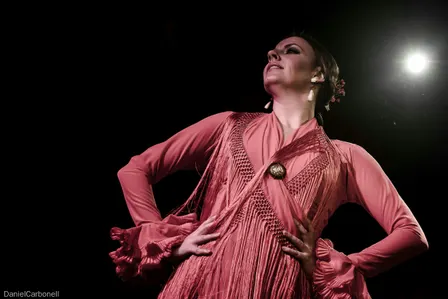 Espectáculo Flamenco con Bebida. Madrid