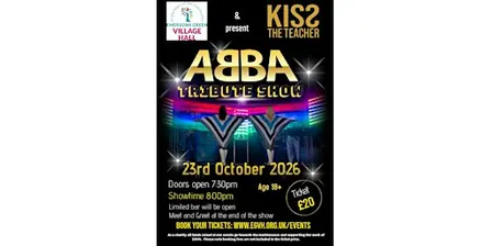 Abba Tribute Show