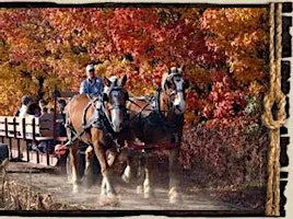 Horse Drawn Hayride and Bonfire