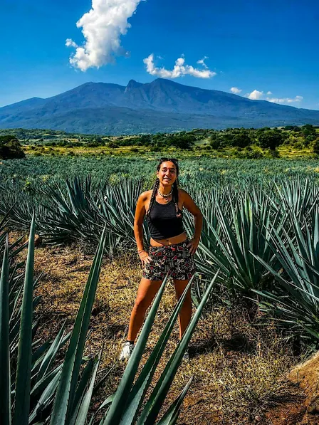 Distillerie de Tequila & Cantaritos El Güero, tour d’une journée complète d