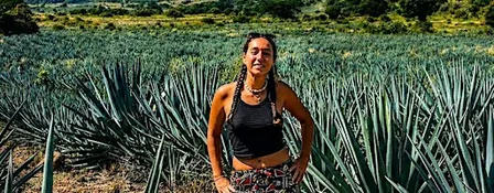 Tequila and Cantaritos el Güero - Full-Day Tour from Guadalajara