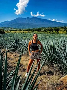 Distillerie de Tequila & Cantaritos El Güero, tour d’une journée complète d