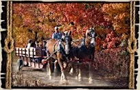 Horse drawn Hayride and Bonfire