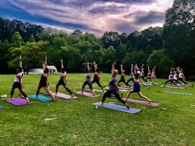 Sunset Yoga on the Farm