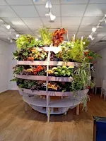 'Growdome'  Showcase - Climate Week North East 2026