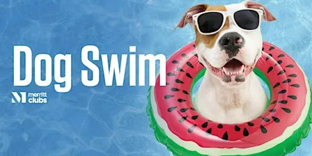 Dog Swim – ELDERSBURG (two time slots)