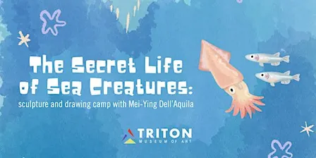 The Secret Life of Sea Creatures: Sculpture and Drawing Camp