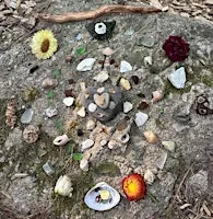 Natured-inspired Yoga workshop: Sitting with Seasonal Shifts - Fall Equinox