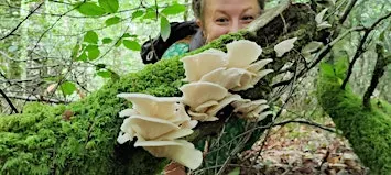 Fungi ID Walk - Monday Mornings Yarner Wood