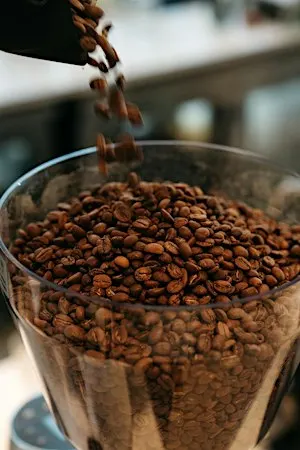 The Daily Prescription: A Coffee Tasting + Pairing Experience