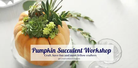 Pumpkin Succulent Craft at the Mixer in San Diego