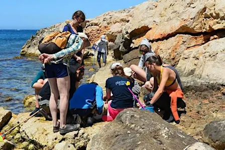 Atelier de sciences participatives : découverte des espèces du littoral