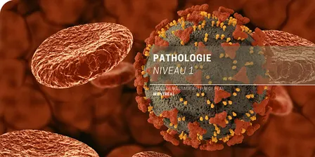 Pathologie niveau 1