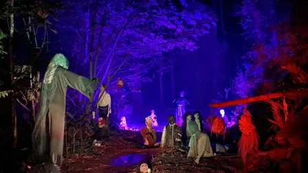My Haunted Forest 2026