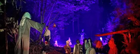 My Haunted Forest 2026