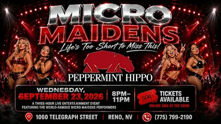 Micro Maidens