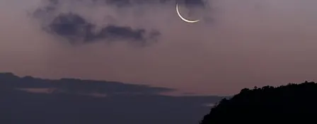 Mind-Body Moon Circle