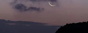 Mind-Body Moon Circle