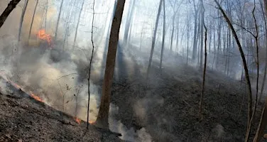 Brown County Prescribed Burn Association Interest Meeting
