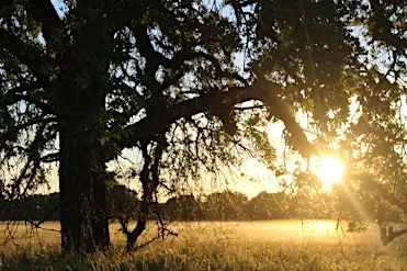 Natural and Cultural History Walk at Cosumnes River Preserve!