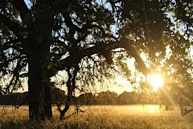 Natural and Cultural History Walk at Cosumnes River Preserve!