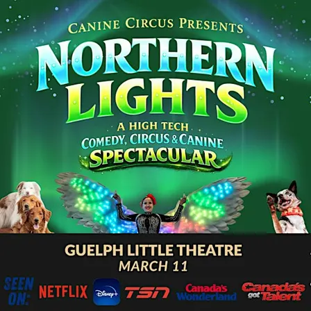 Canine Circus Presents: Northern Lights