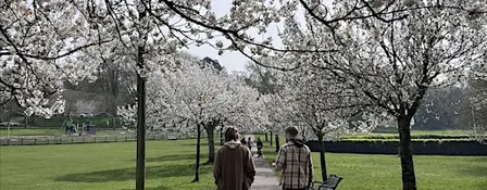 Community Mindful Walk in Hove Park,  Brighton