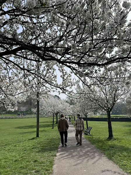 Community Mindful Walk in Hove Park, Brighton
