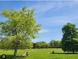 Community Mindful Walk in Preston Park, Brighton