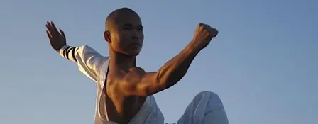 Kung fu  - FAMILY - ALL AGES 4+ (Wednesdays @  7p.m.)