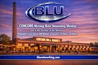 Business Networking  In Concord.   BLU (Guests Welcome)