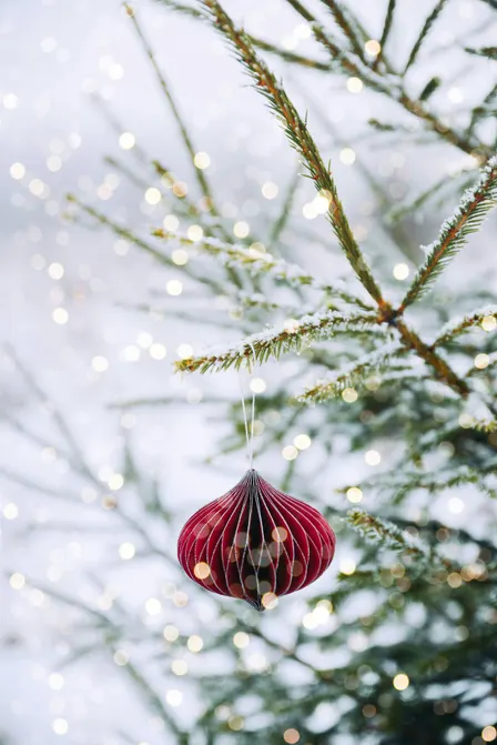 Scandinavian Paper Ornament Workshop (Bowmanville)