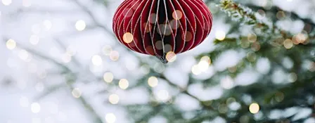Scandinavian Paper Ornament Workshop (Bowmanville)