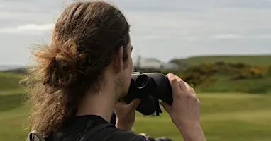 September Bird Survey (beginners welcome)