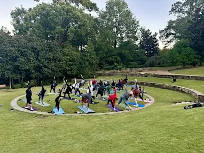 Outdoor Yoga Raleigh — All Levels Welcome