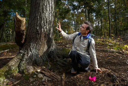 Wildlife Tracking with Daniel Hansche