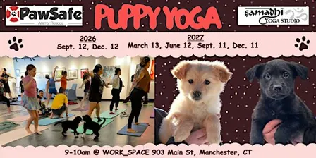Puppy Yoga