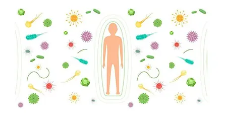 Take Home TCM: Supporting Immunity with Traditional Chinese Medicine